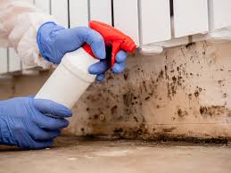 Best Mold Prevention Services  in Shavertown, PA